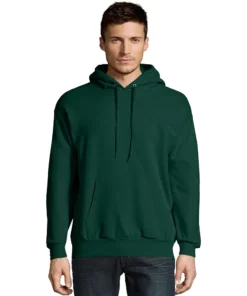 Men's Hanes® EcoSmart Fleece Pullover Hoodie -Casual Outfits For Men Elegant store 4489043 Deep Forest